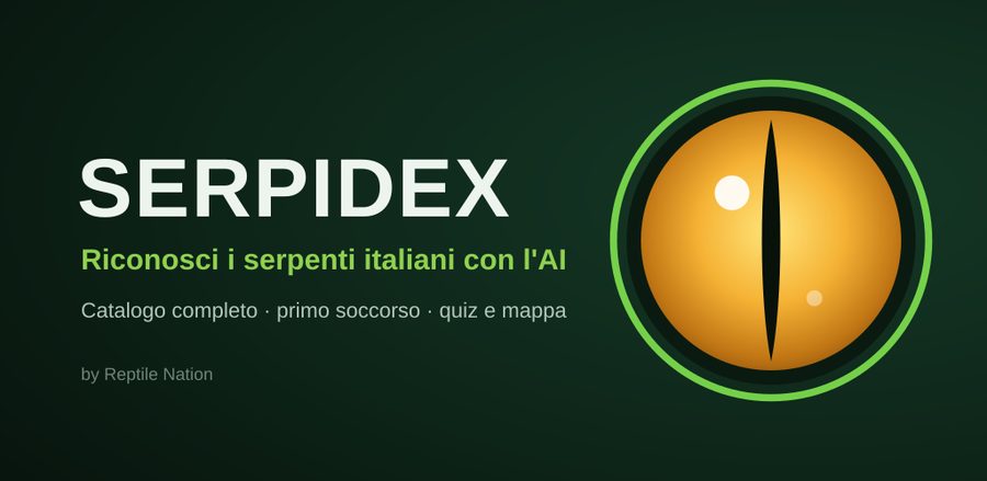 Anteprima di SERPIDEX